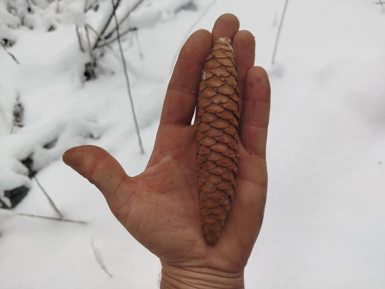 Оригинальное фото до обработки